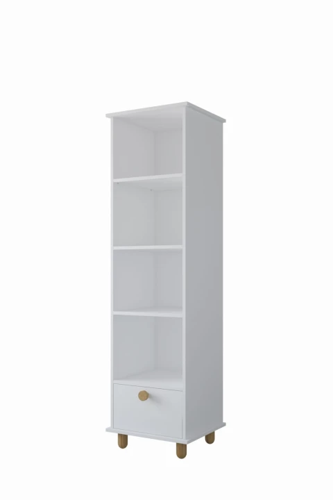 b tlo regal 1 (2).jpg