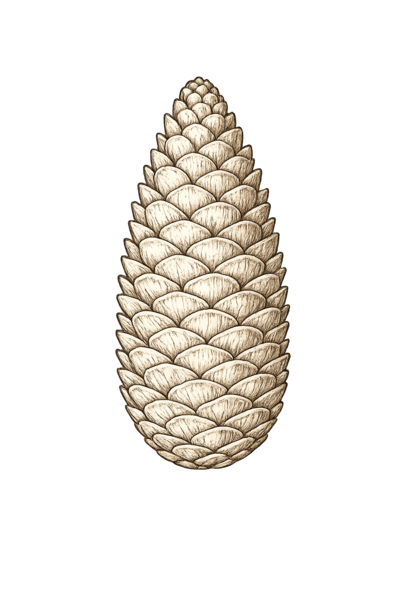 Naturmaterialien